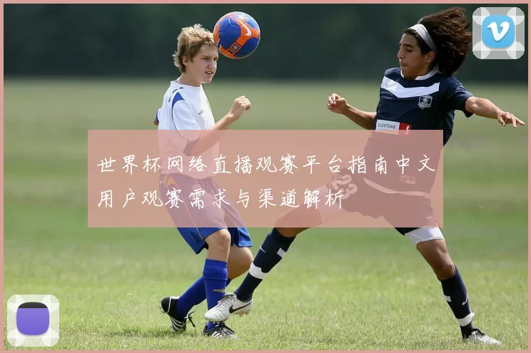 世界杯网络直播观赛平台指南中文用户观赛需求与渠道解析